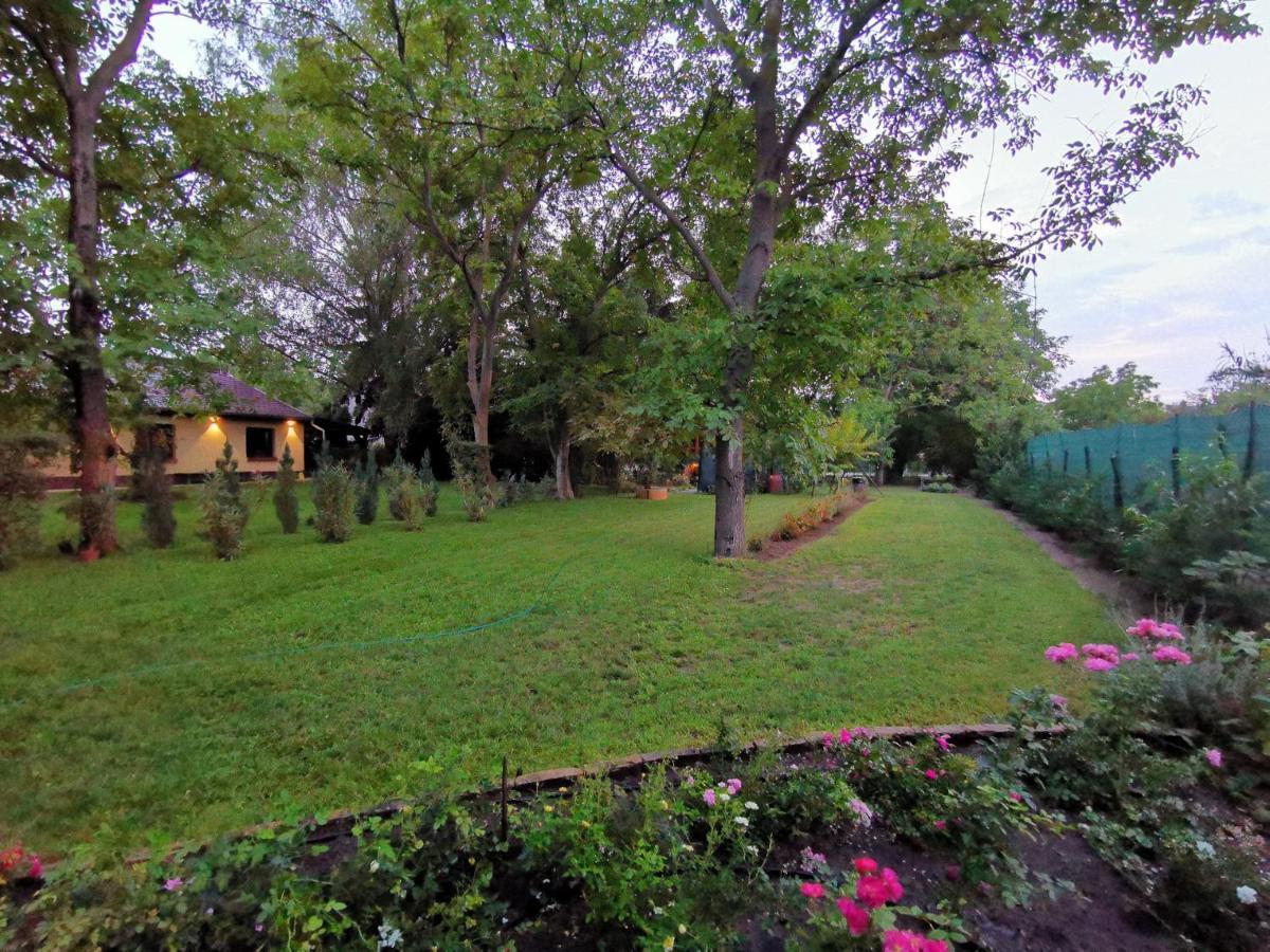 Szent Erzsebet Apartmanhaz Kecskemét Exteriér fotografie
