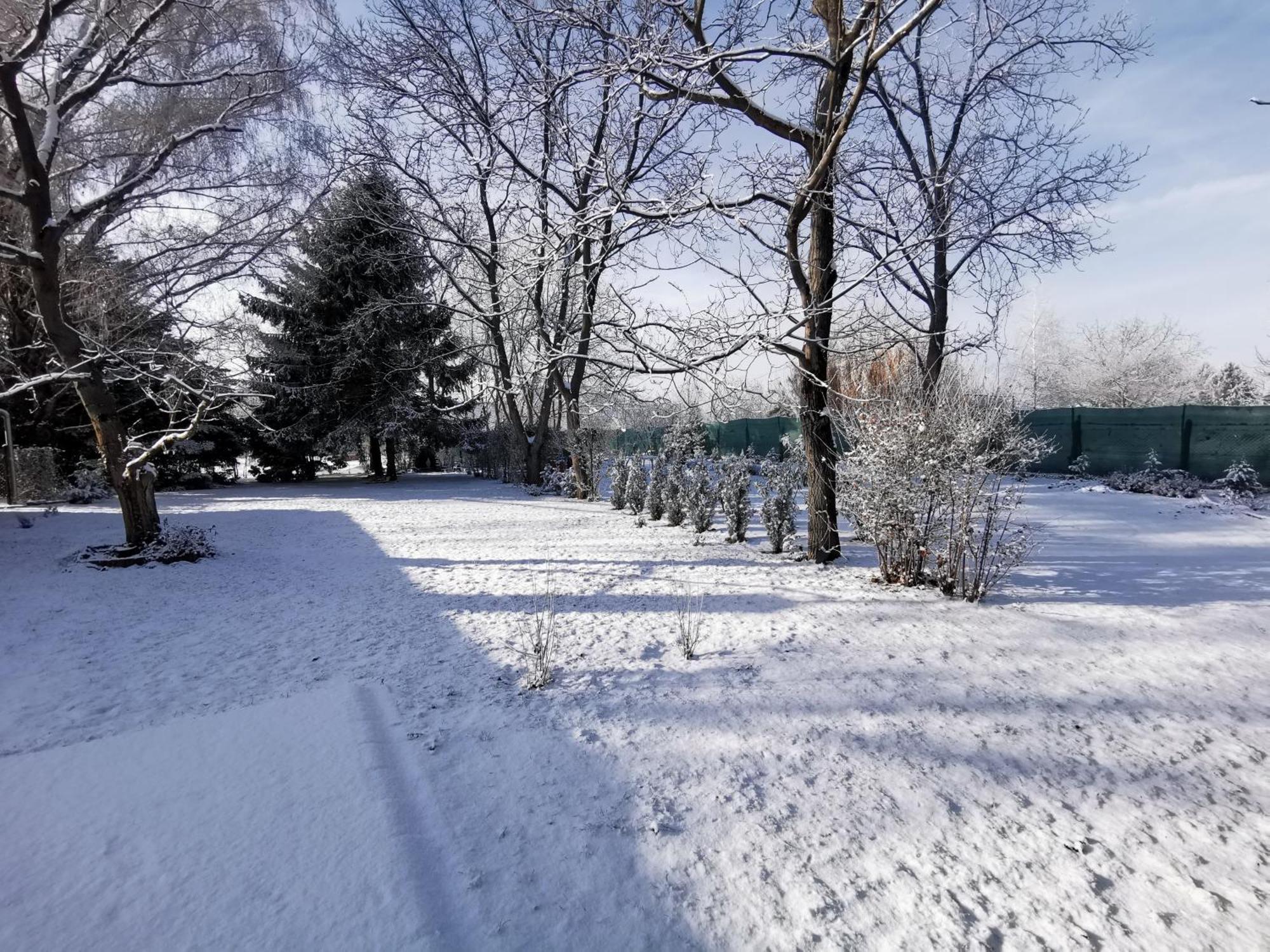 Szent Erzsebet Apartmanhaz Kecskemét Exteriér fotografie